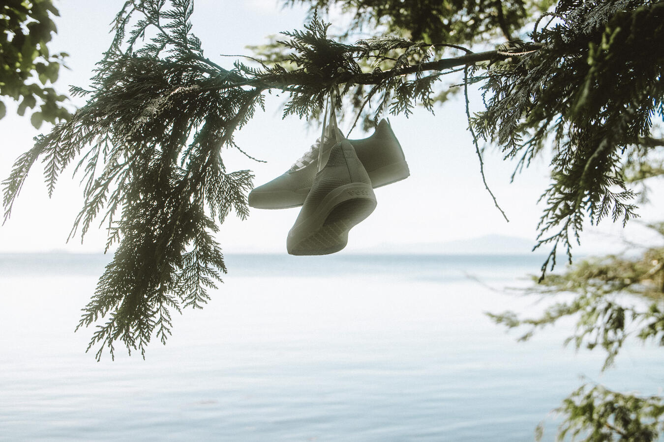 Vessi Waterproof Shoes Island